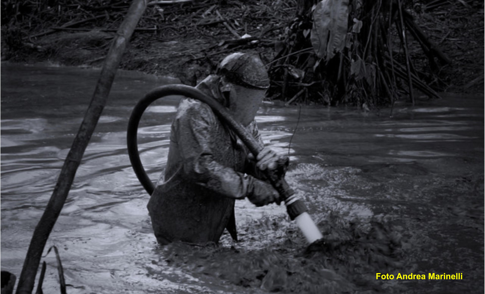 Al momento stai visualizzando NeroAmazzonia