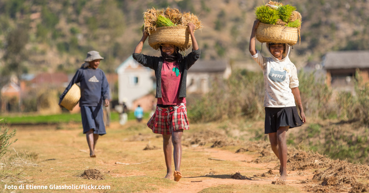 Al momento stai visualizzando Madagascar: temperature record non possibili senza l’impatto delle attività umane